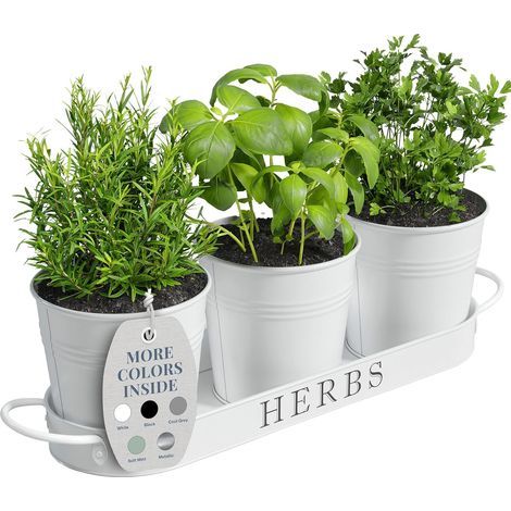 Conjunto de macetas de interior con bandeja, maceteros de metal para alféizar de ventana con drenaje para plantas de interior o exterior, juego de 3 (blanco) (1/5)