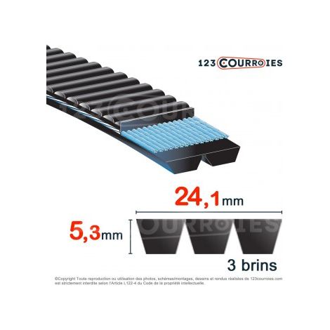 Courroie trapézoïdale polyuréthane Bando Banflex 3-7MS900
