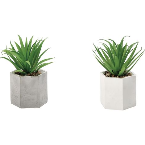 1 Pezzo Vaso con Piantina Grassa Decorativa Casa 18 cm 2 Modelli (1/3)
