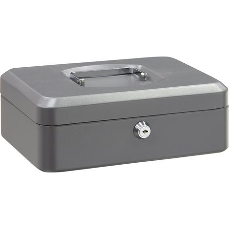 ARREGUI Elegant, Geldkassette aus Stahl, Geldbox, 25 cm breit, Abschließbare Kasse mit Geldeinsatz, Kleine Geldkassette mit Schlüssel und Münzeinsatz / Geldeinsatz, Geldkasse Grau C9236