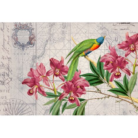 Papier peint panoramique tropical fleuri Tapisserie panoramique vintage exotique Papier peint panoramique oiseaux multicolore pour salle de bain (1/2)