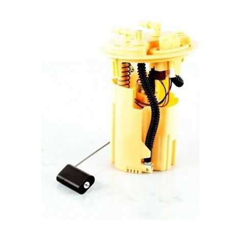 Pompe à carburant immergée pour Citroën Evasion 1525.P3 (1/3)