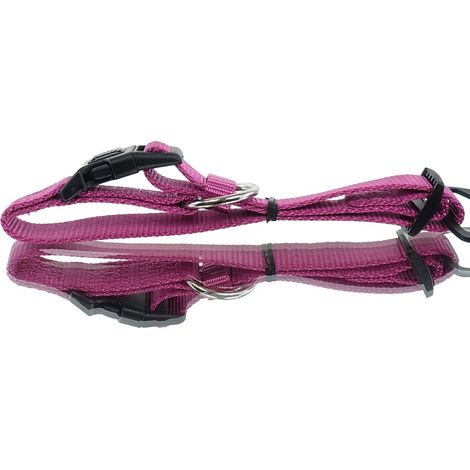Nobby® Hunde Halsband Classic Himbeere Größe S - M (1/3)