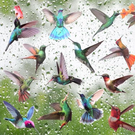 19 Pièces Autocollants Colibri, Anti-Collision pour Empêcher d’Impact d'Oiseau pour Vitres, Décoration de Fenêtre Murale (1/5)