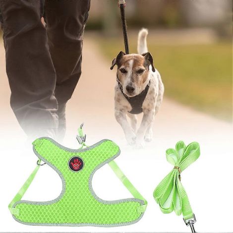 Harnais de poitrine pour animaux de compagnie en maille respirante polyester, style gilet, avec laisse de traction pour chiens. (1/2)