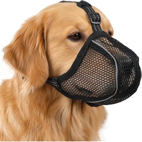 Museliere pour Chien, Musolière Chien Respirantes Réglables (1/3)