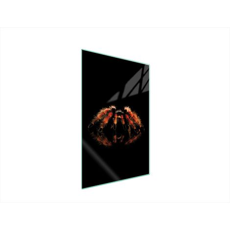 Glasschneidebrett 35x52 Spider (1/5)