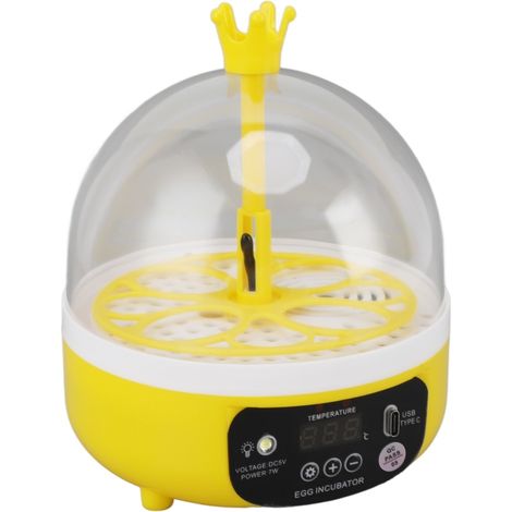 Mini incubateur à œufs pour la maison, contrôle automatique de la température et de l'humidité, mirage automatique pour 4 œufs, idéal pour les poules, les canards et les pigeons. (1/5)
