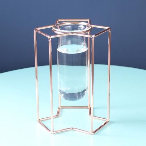 Vase À Fleurs - Verre Et Fer - Transparent Pour Suivi Croissance Plantes - Bureau Maison Dortoir - Style 1 Hauteur 15,5 Cm - 1 Pièce (1/4)