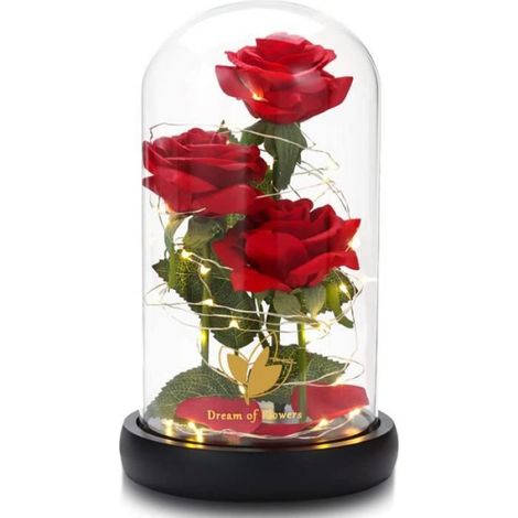 Fleur Artificielle - - Rose Éternelle - Dôme en Verre - LED - Cadeau Unique (1/5)