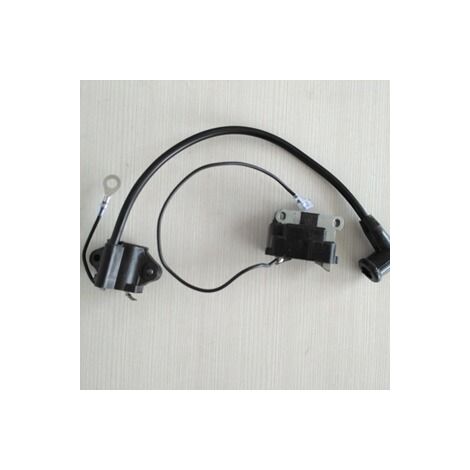 S-giant Kit de 2 Bobines d'Allumage Compatible avec 24 584 01-S, 24-584-04-S, 24 584 45-S (1/4)