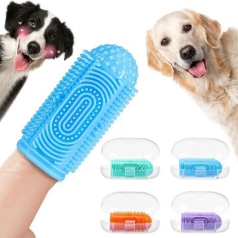 Brosse à dents pour chien, brosse à dents à doigt, ensemble de brossage pour chien, 4 pièces (1/4)
