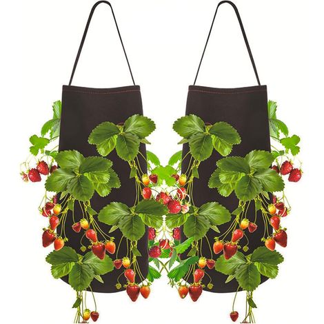 Lot de 2 sacs de plantation pour fraises, pommes de terre et légumes, avec fenêtre et poignée, pour fraises, tomates et autres légumes.