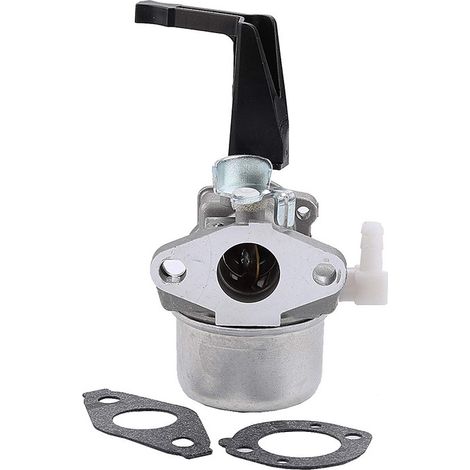 Vergaser DOLASO für Briggs&Stratton 696065 697422 Compa (1/5)