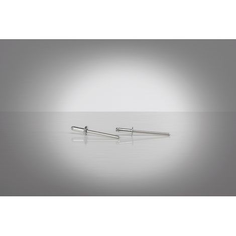 Gesipa 1454638 Blindniete Stahl Stahl 500 St. (1/3)