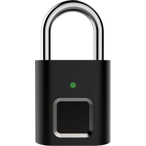 Cadenas à empreinte digitale, intelligent et étanche, verrouillage sans clé en alliage de zinc, biométrique.