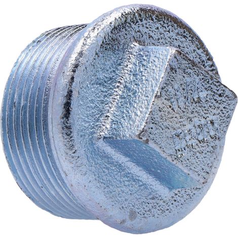 Tapón con borde de 5/4 galvanizado T9, NR46, NR290 (1/2)