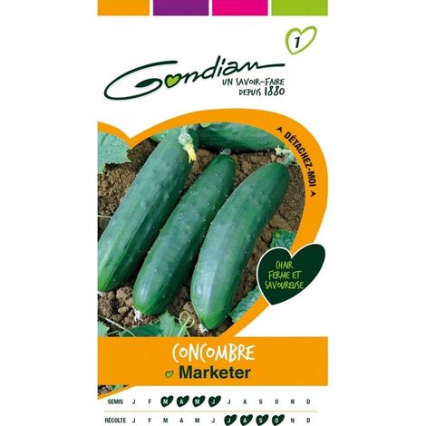 Gondian - Concombre Marketer