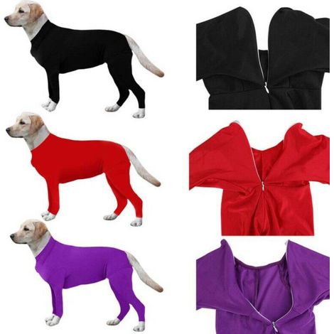 Combinaison moulante pour chien, idéale après une opération. Violette. (1/5)