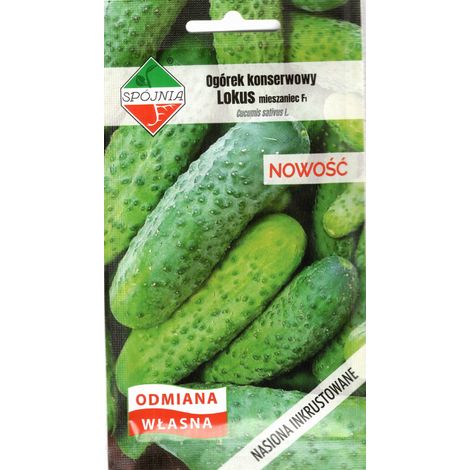 Cetriolo sottaceto precoce - LOKUS ibrido F1 - Semi incrostati 5g Spójnia (1/2)