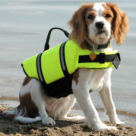 Gilet de sauvetage pour chien, style sport, en tissu ripstop, avec flottabilité supérieure et poignée de sauvetage. (1/5)