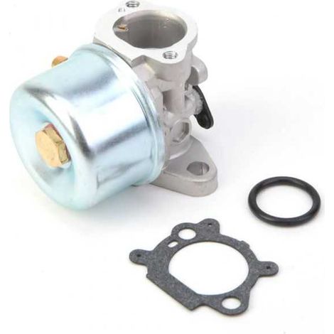 Carburateur pour moteur Briggs & Stratton 799866 (1/5)