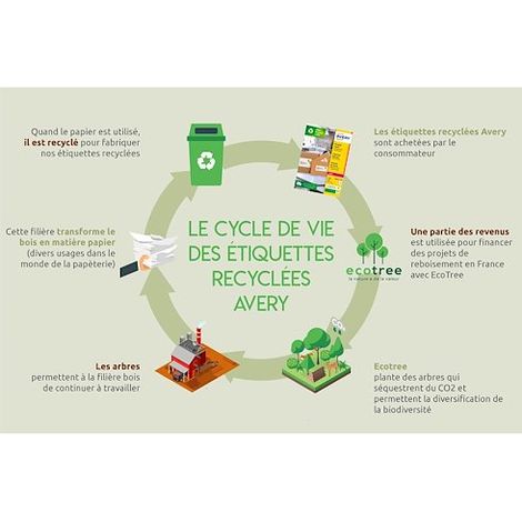Etiquettes adresses Avery recyclées laser 63,5 x 38,1 mm LR 7169 - Boîte de 2100 (1/5)