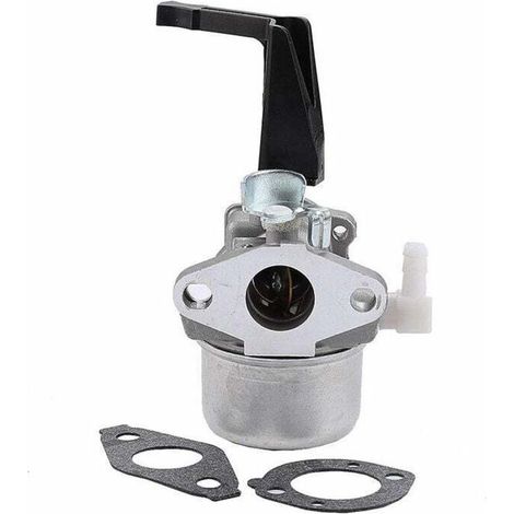 Carburateur Compatible Briggs Stratton 696065 697422 110402-0206-E1 Pièce de Rechange pour Tondeuse et Équipement de Jardin - KZQ (1/4)