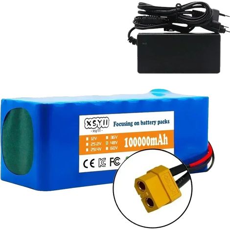 Batterie lithium-ion, capacité 100Ah, protection intégrée, Rouge (1/2)