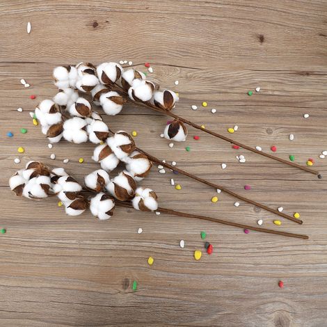 Lot de 3 tiges de kapok séchées (10 capsules) en coton naturel, 60 cm, pour décoration de mariage, fête ou maison. (1/5)