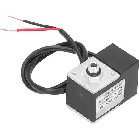Accessoires pour pompe à air électrique en laiton avec soupape de temporisation AC/DC 220 V (1/5)