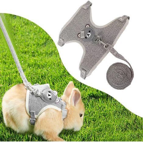 Geschirr, verstellbare Leine, Nylon-Netzgewebe, atmungsaktiv, für Kleintiere wie Kaninchen und Katzen (1/5)