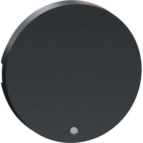 Odace, enjoliveur Anthracite, livré sans LED (S540297) (1/2)