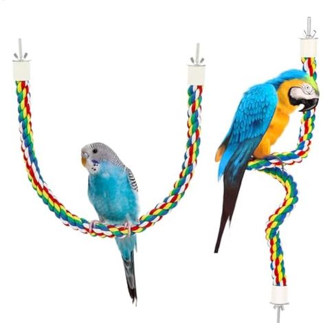 Lot de 2 jouets pour inséparables, jouets en corde de coton pour perroquets, accessoires pour cages de petits et moyens oiseaux (perruches ondulées, chardonnerets, conures et canaris). (1/5)