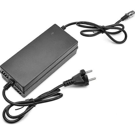 Chargeur de batterie pour scooter électrique et vélo électrique - yky-48V-A (1/5)