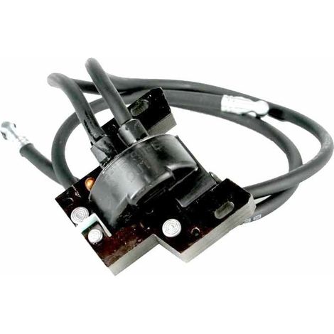 Brigg & Stratton Bobina elettronica motori 16 18 HP bicilindrici boxer (1/3)
