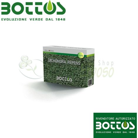Dichondra Repens - Sementi per prato da 500 g