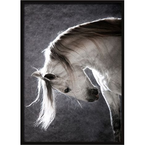 CUADRO, PÓSTER ENMARCADO 73x53 cm Caballo P506 (1/4)
