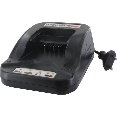 Chargeur de batterie GGP - CASTELGARDEN 118204136/1