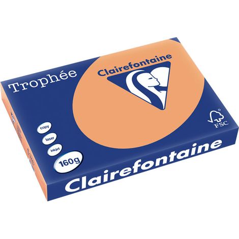 PAQ. 250H PAP. TROPHEE CLF SUAVE A3 160G CARAMELO