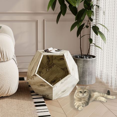 Table d'Appoint Multifonction avec Compartiment de Transport pour Chat, 66 cm, Meuble 3-en-1 Bureau et Jardinière, MDF, Blanc (1/4)