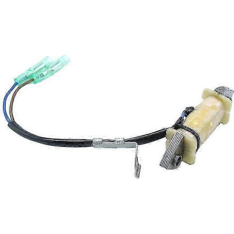 Passend für Yamaha 4-Takt 9,9-15 PS Außenbordmotoren Lade- und Zündspule 66M-85520-00 Ausgabe 0619