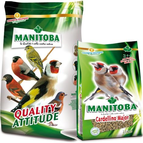 Cardellino Major Manitoba - 2,5 kg