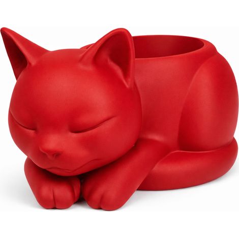 Vaso da fiori con gatto addormentato e copertura decorativa rossa per piante grasse e cactus
