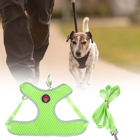 Harnais de poitrine pour animaux de compagnie en maille respirante polyester, style gilet, avec laisse de traction pour chiens et chats (Vert M) (1/5)