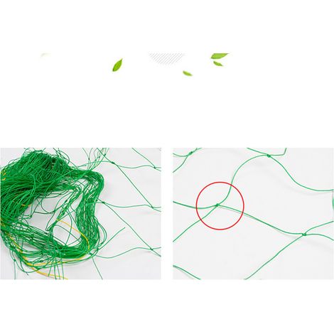 Beyamis Filet de jardinage en nylon pour plantes grimpantes, potager et plantation de légumes, 1,8 x 3,6 mètres (1/2)