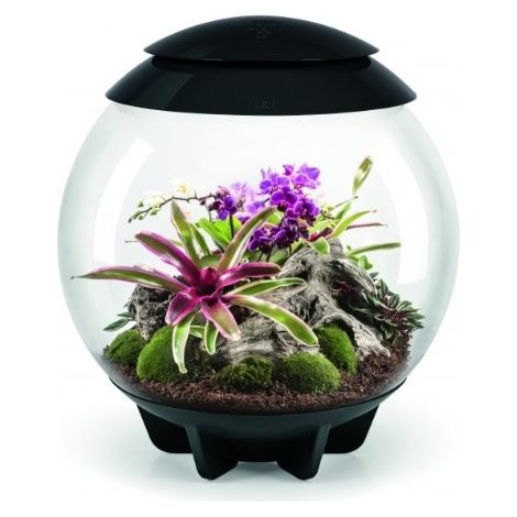 Terrario decorativo da 60 litri con cornice nera - AIR 60 BLACK - Oase (1/2)