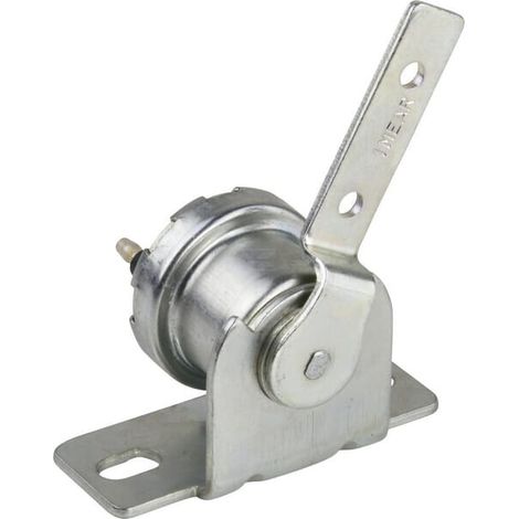 Interruptor COBO 3302937M91N (1/2)