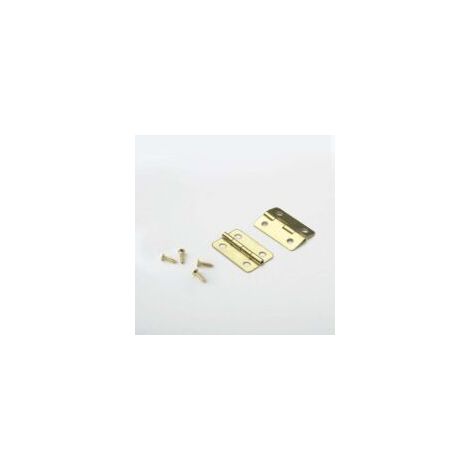 or-50pcs Mini bisagras pequeñas de 18 x 16 mm, bisagra plana para puertas de armarios, cajones y cofres, accesorios de bricolaje, conectores con 200 tornillos - Crezuo (1/4)