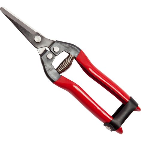 Forbici'Falci' Per Uva Lame Dritte Lunghezza Cm 19 Da Giardino Conf. 12Pz (1/2)